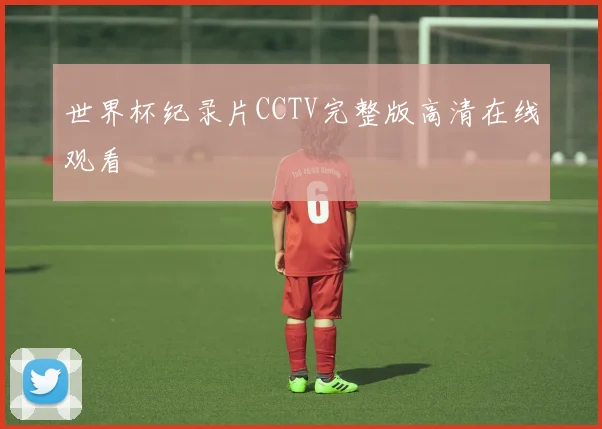 世界杯纪录片CCTV完整版高清在线观看