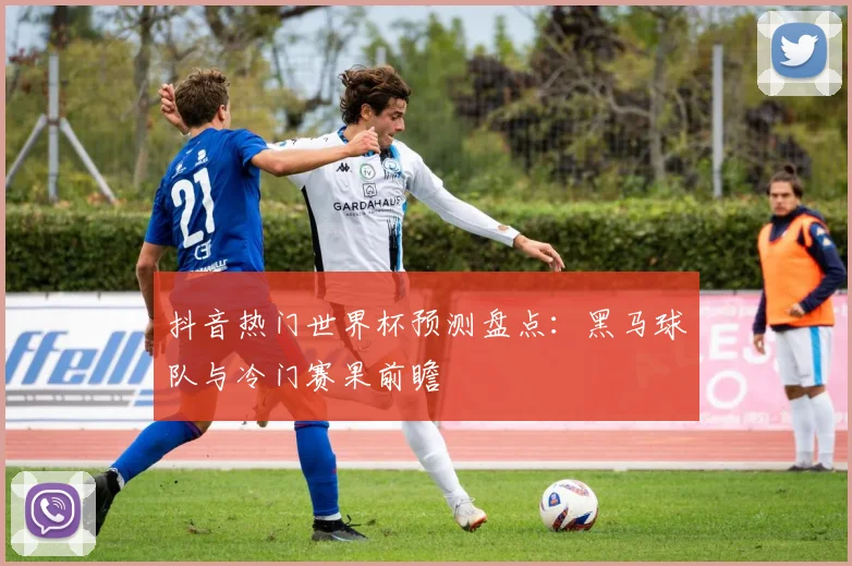 抖音热门世界杯预测盘点:黑马球队与冷门赛果前瞻