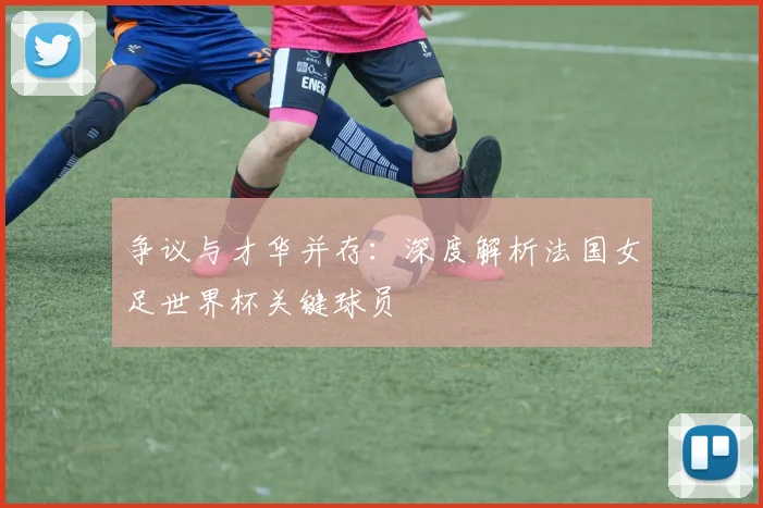 争议与才华并存：深度解析法国女足世界杯关键球员